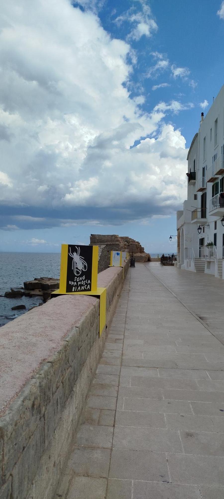 A Casa Di Ru, Bellissimo Appartamento Con Sauna Monopoli Exteriér fotografie